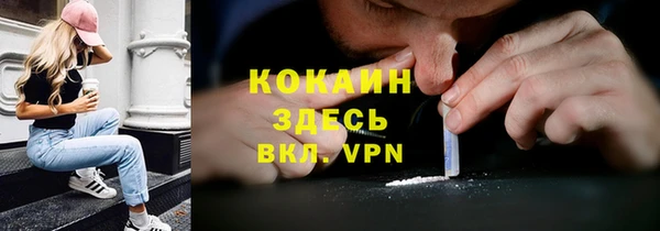 индика Алексеевка