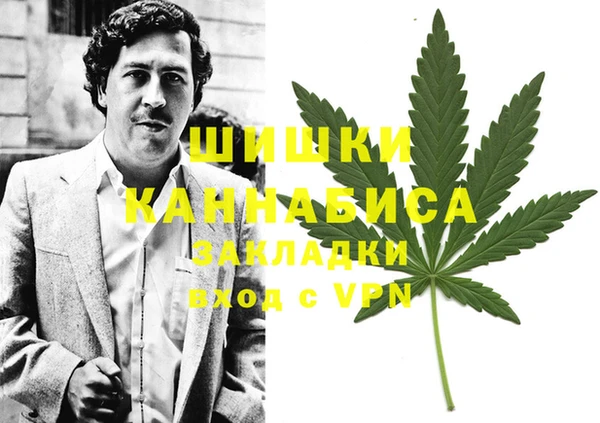 индика Алексеевка